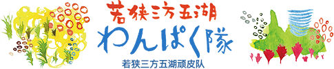 若狭三方五湖わんぱく隊