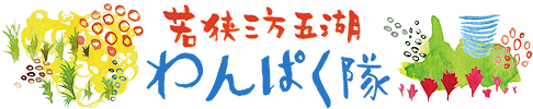 若狭三方五湖わんぱく隊